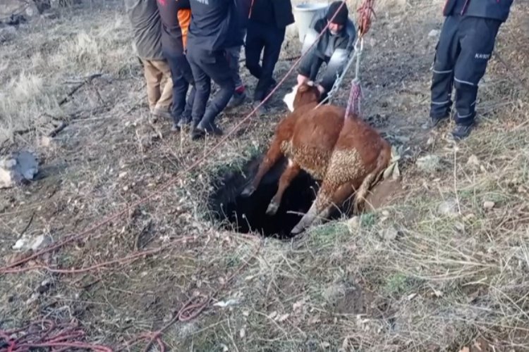 Kayseri itfaiyesinden buzağı operasyonu