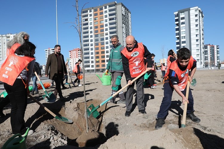 Kayseri Kocasinan'da toplu ağaç dikimi