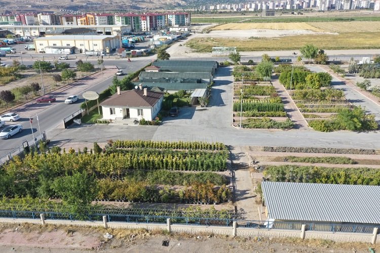 Kayseri Kocasinan en büyük fidanlığı kurdu