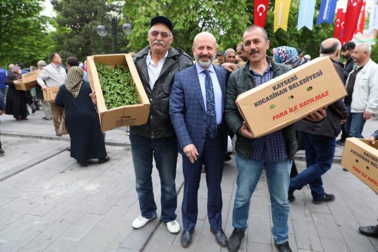 Kayseri Kocasinan'ın domates efsanesi geri döndü