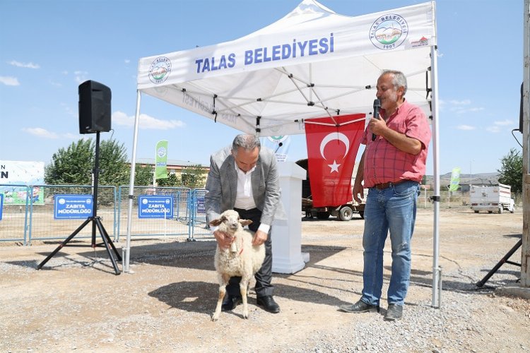 Kayseri Talas'ta hayvancılığa tam destek