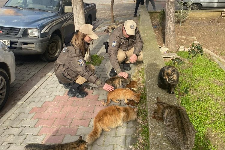 Keşan'da polis ekipleri sokak hayvanlarını besledi