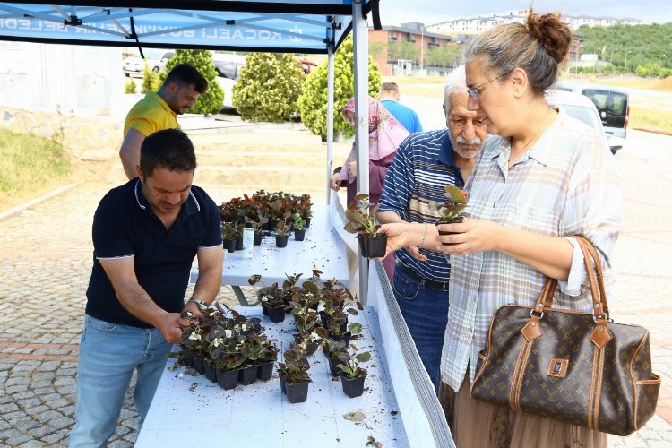 Kocaeli bayramda 'çiçek' gibi