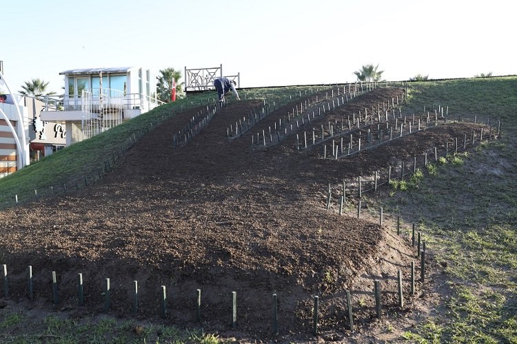 Kocaeli Büyükşehir'den kente estetik dokunuşlar