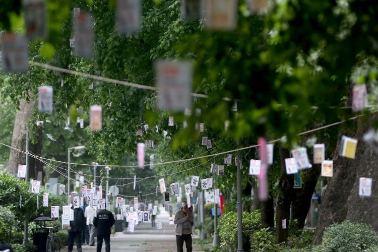 Kocaeli'de 5 bin kitap ağaçtan toplanacak