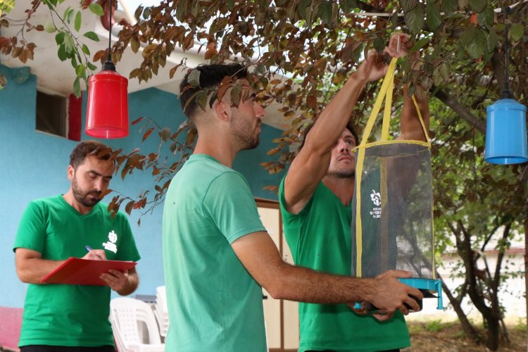 Kocaeli'de karasinek kapanları yaygınlaşıyor