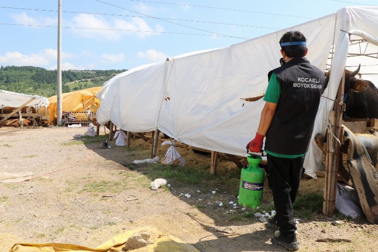 Kocaeli'de öncelik insan sağlığı