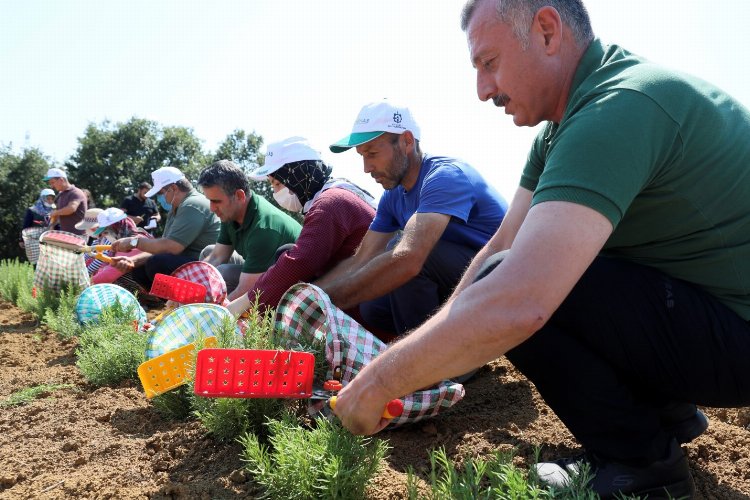 Kocaeli'nde kooperatif ve birliklere yüzde 75 hibe desteği