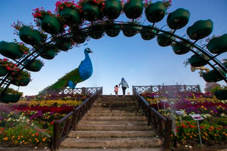 Konya Selçuklu Çiçek Bahçesi'nde en iyi kareler belli oldu