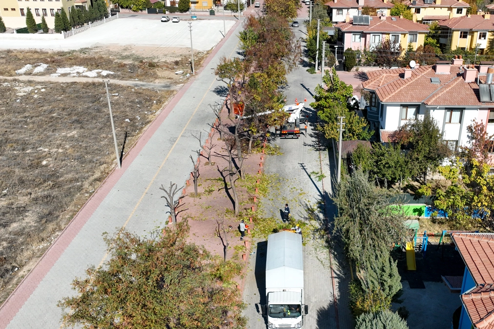 Konya Selçuklu'da ağaçlar budanıyor... Atıklar kompost gübreye dönüştürülüyor