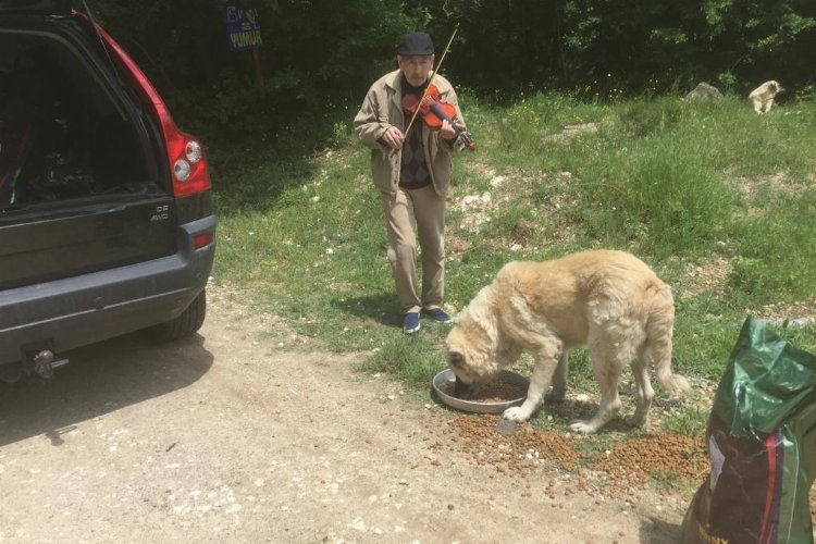 Kırklareli Vizeli kemancı Turunç, sahipsiz canlara keman çalıyor