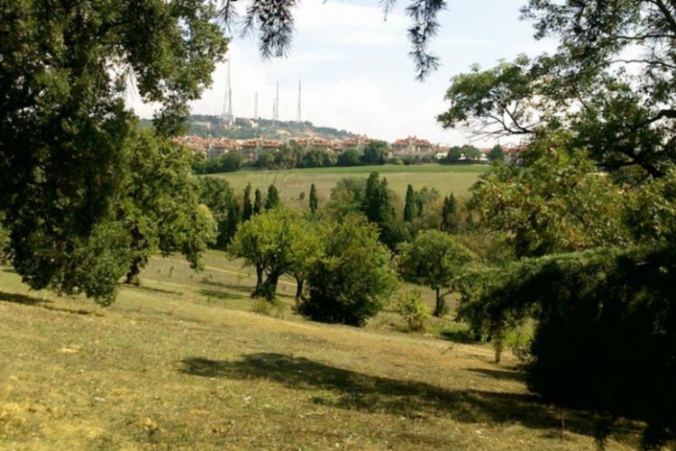 Mahkeme Validebağ'da İstanbul Büyükşehir Belediyesi haklı buldu