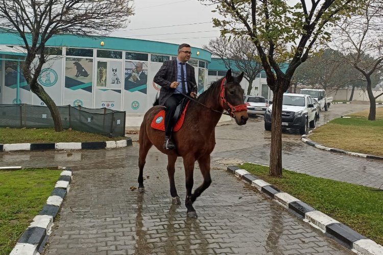 Manisa'da 'Atlı Zabıta' göreve hazırlanıyor