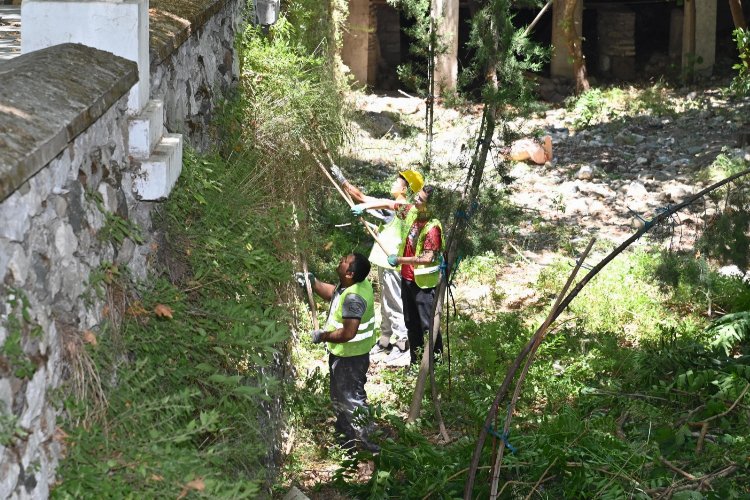 Manisa'da Çaybaşı Deresi temizleniyor