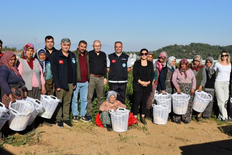 Manisa'da çiftçi kadınların günü tarlada kutlandı