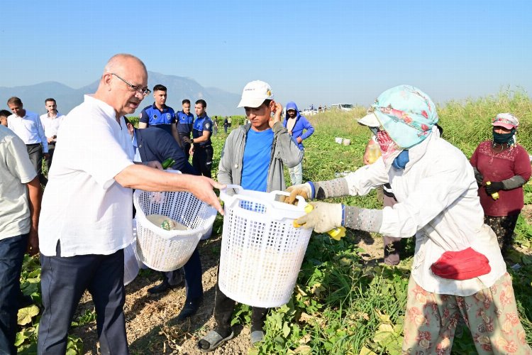 Manisa'da tarım emekçileriyle hasat vakti buluşması