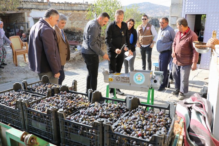 Manisa'da üzümün tadı farklı olacak