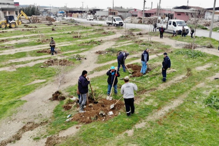 Manisa'da 'yeşil' atılım