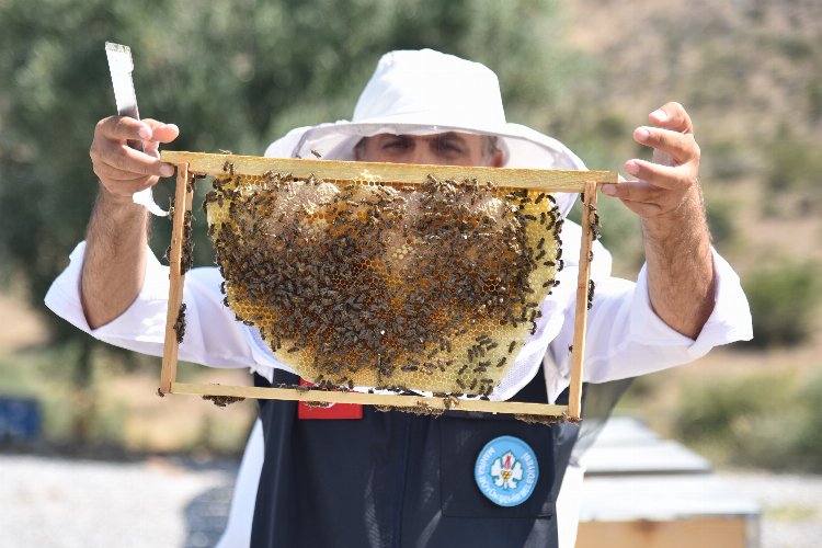 Manisa'dan arıcılara 'kovan' desteği