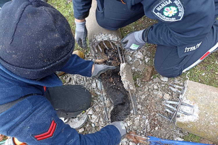 Manisa İtfaiyesi'nden hayat kurtaran müdahaleler