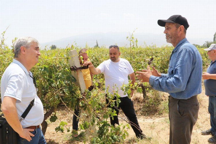 Manisa Meclisi'nden hasar gören üreticilere destek