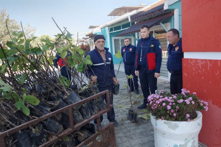 Manisa'nın 17 ilçesine 120 bine yakın meyve fidanı dağıtıldı