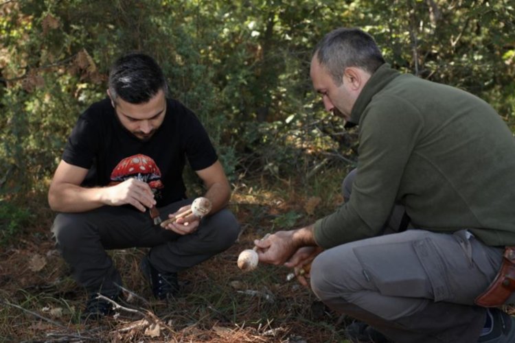 Mantar avcıları Bursa İnegöl'de buluştu