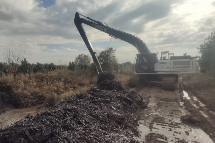 MASKİ’den Dayıoğlu'nda dere temizliği