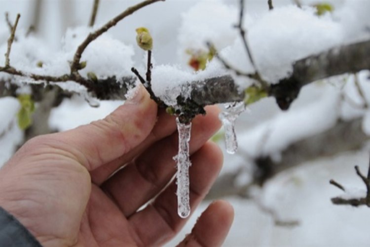 Meteoroloji'den don ve buzlanma uyarısı