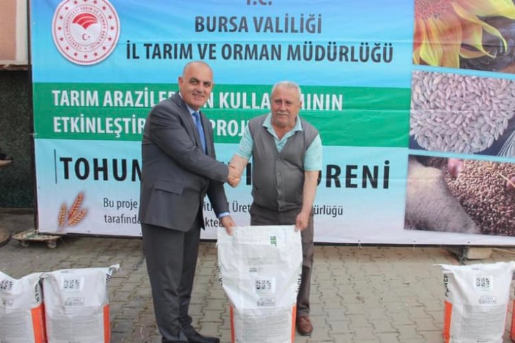 Mudanyalı üreticilere ayçiçeği tohumu dağıtıldı