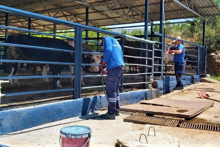 Muğla'da Büyükşehir tüm birimleri ile bayrama hazır