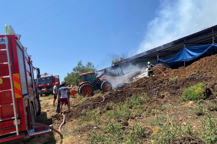 Muğla'da yangından etkilenen hayvanlara müdahale