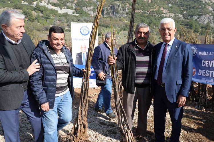 Muğla'dan tarımsal desteklerin dağıtımına başlıyor