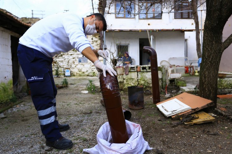 Muğla kırsaldaki çınarların yanında