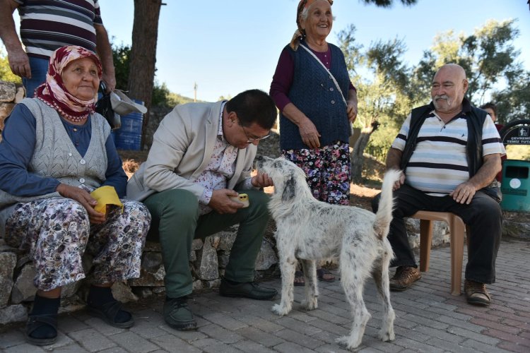 Muğla Milas'ta kentsel-kırsal ayrımı yok