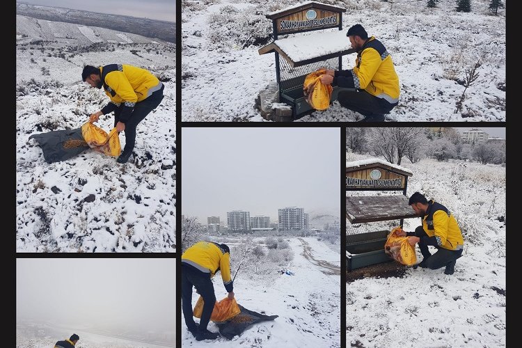 Nevşehir Belediyesi'nden can dostlara yakın ilgi