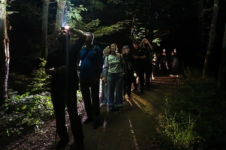 Ormanya’da macera dolu gece yürüyüşü... Yarasa dinletisi yapıldı