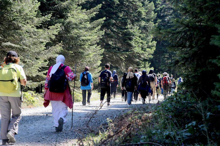 Sakarya'da doğa tutkunlarına özel deneyim