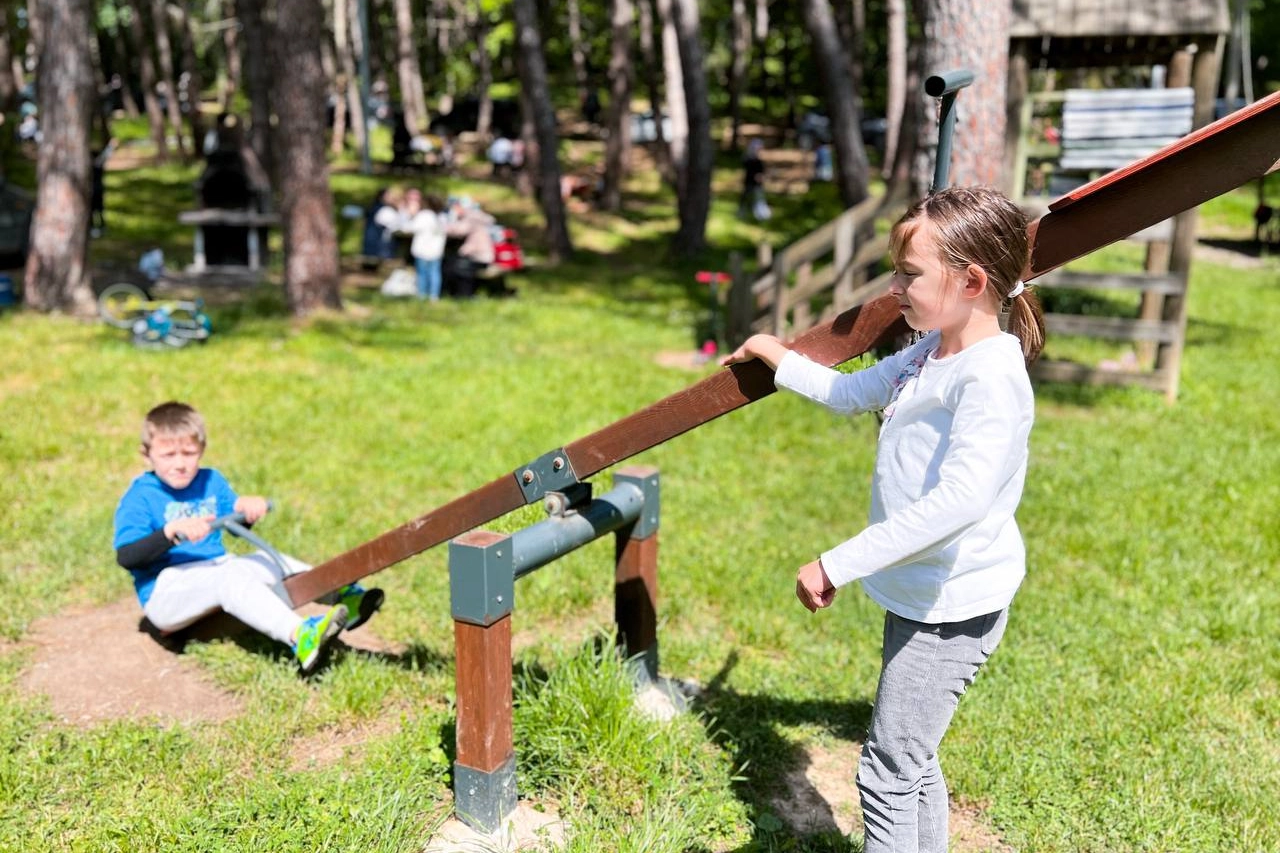 Sakarya'nın benzersiz doğası İl Ormanı Tabiat Parkı