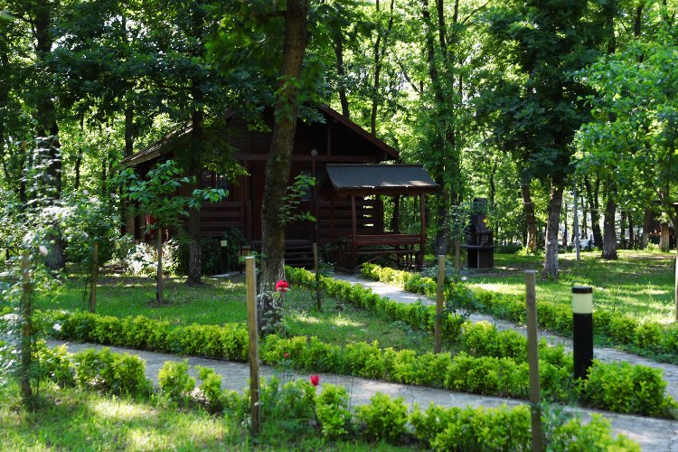 Sakarya'nın oksijen deposuna ziyaretçi akını