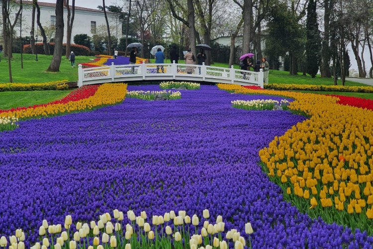 İstanbul'da Lale Bayramı coşkuyla kutlanacak