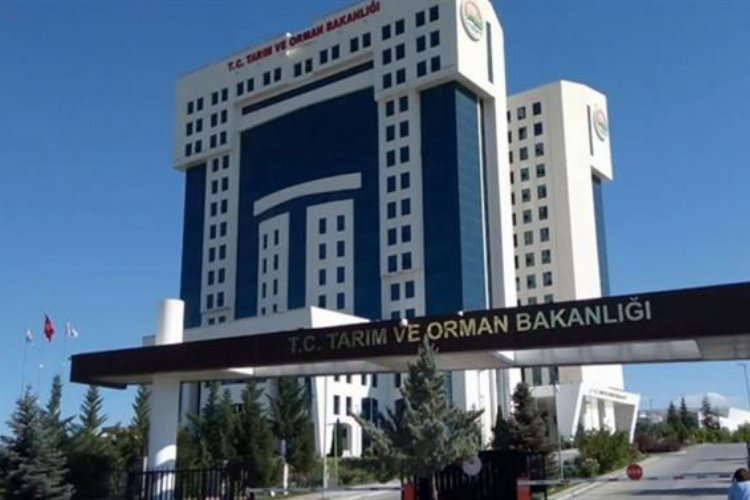 Tarım ve Orman'da Bakan Yardımcıları görevden alındı