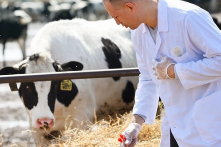 Tarımsal girdilerde artış! Veteriner harcamaları başı çekiyor