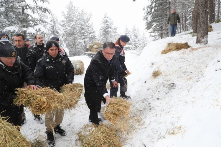 Tokat'ta yaban hayvanları için doğaya yem bıraktılar