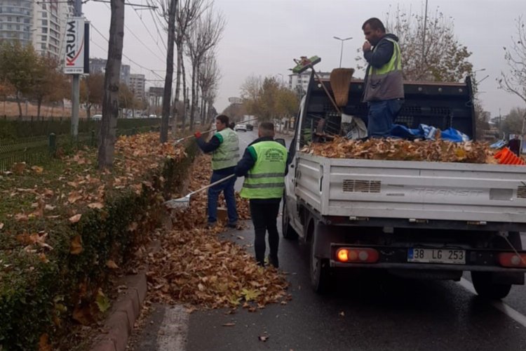 Toplanan gazel gübreye dönüşüyor