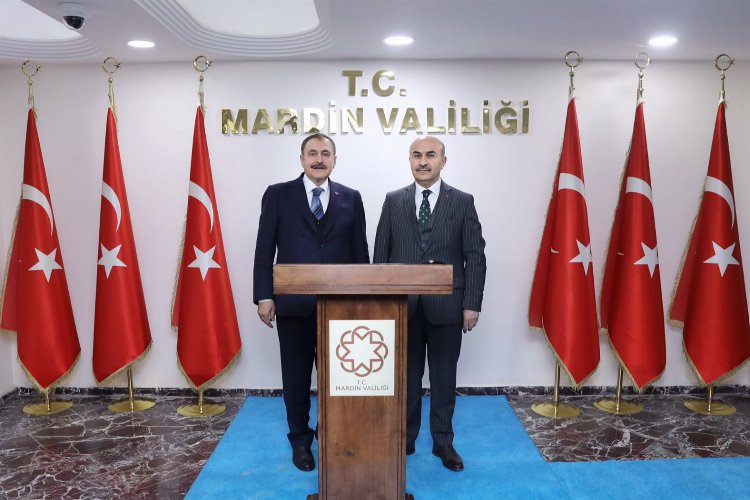 Veysel Eroğlu'ndan Mardin çıkarması