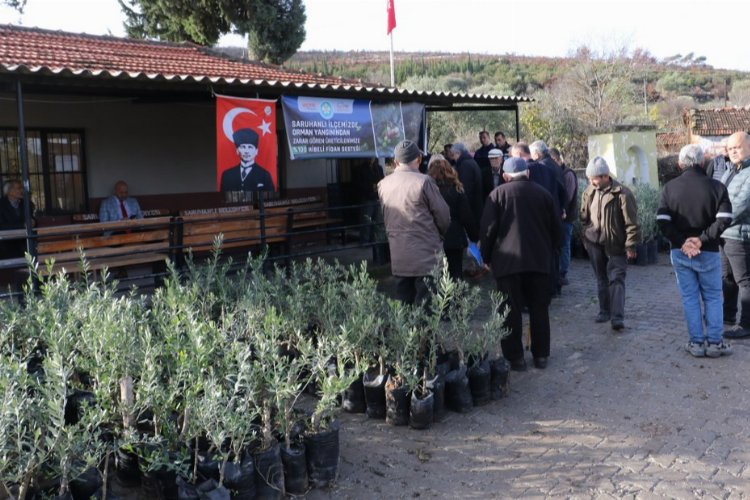 Yangın mağdurlarına Manisa Büyükşehir'den fidan desteği