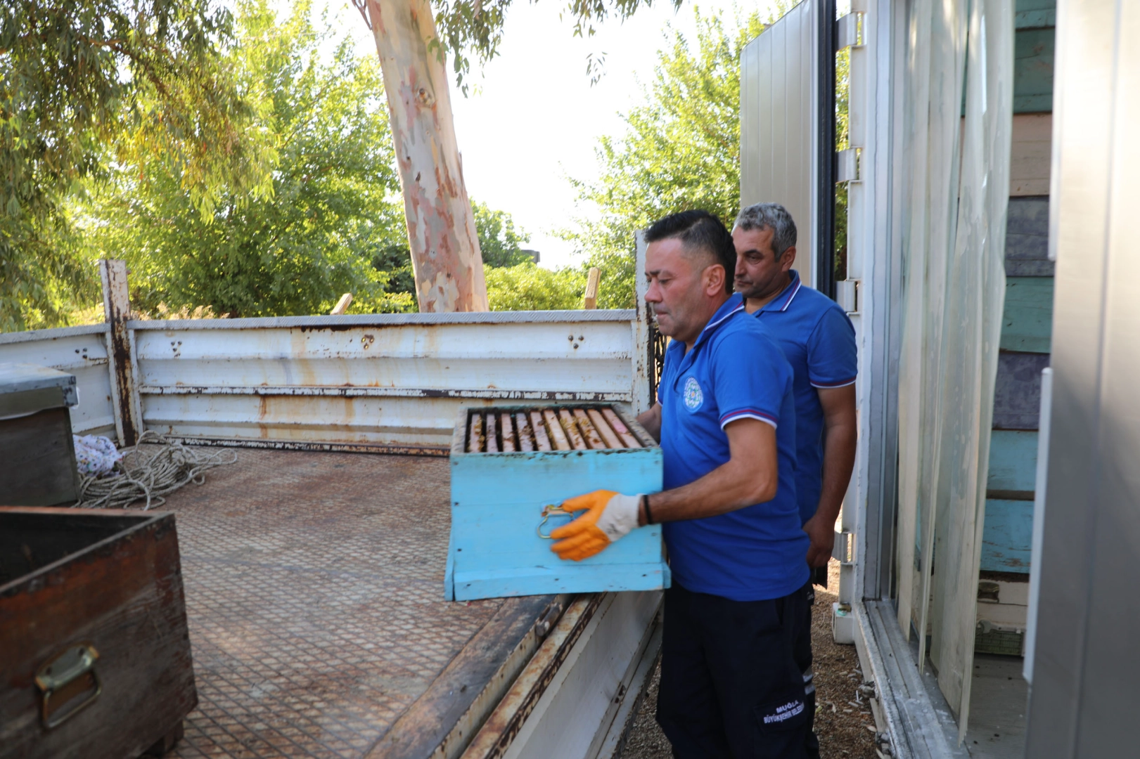 Yerel yönetimler arasında bir ilk: Temiz Petek Projesi