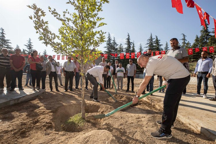 Zafer ve Anma coşkusu 'Barış Çınarı' ile pekişti