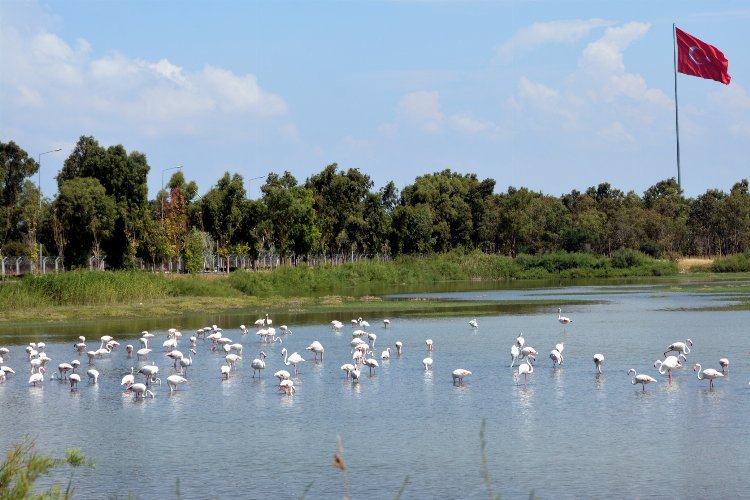 İzmir Aliağa'dan yılbaşı hediyesi